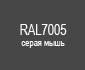 RAL7005
